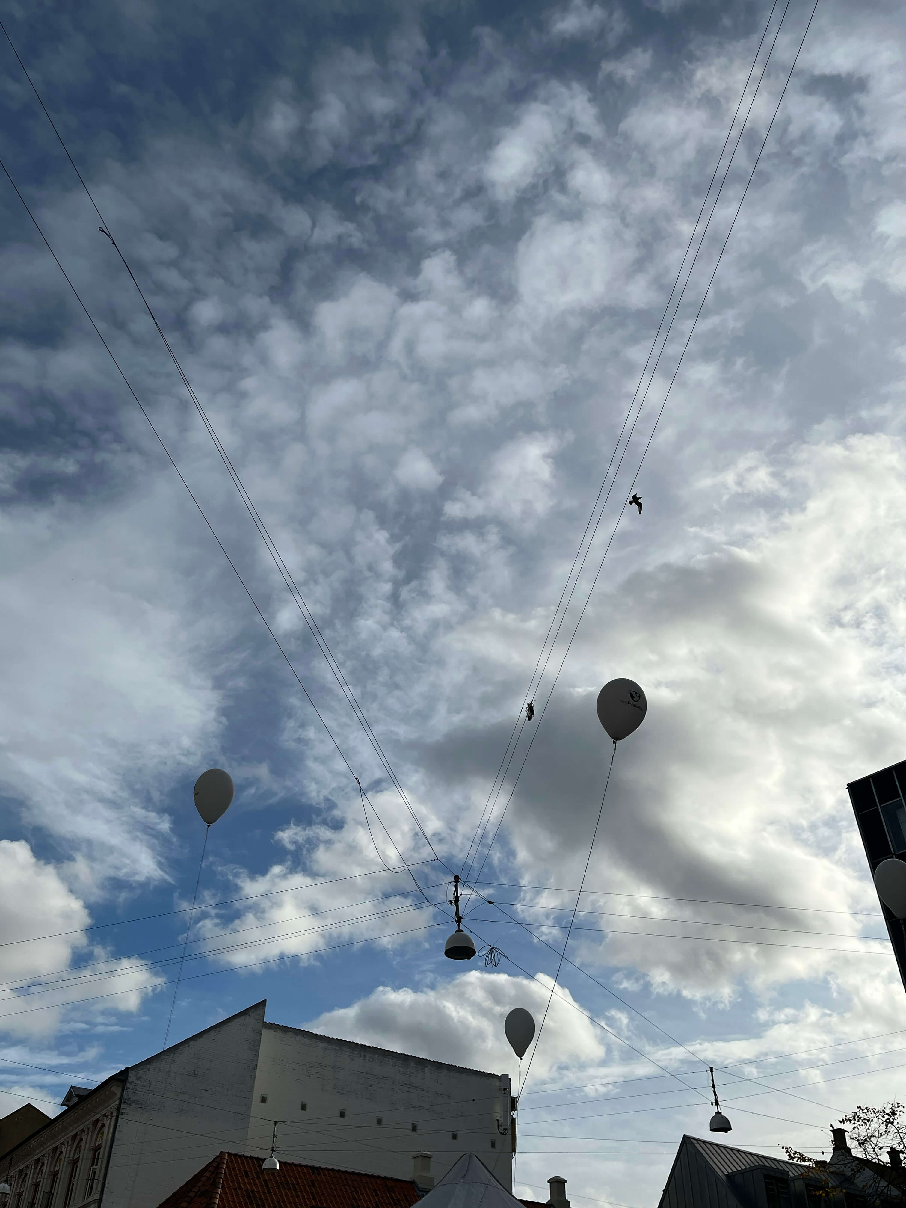 Katharina Ya, Visual Essay 'DER ER IKKE VALG'