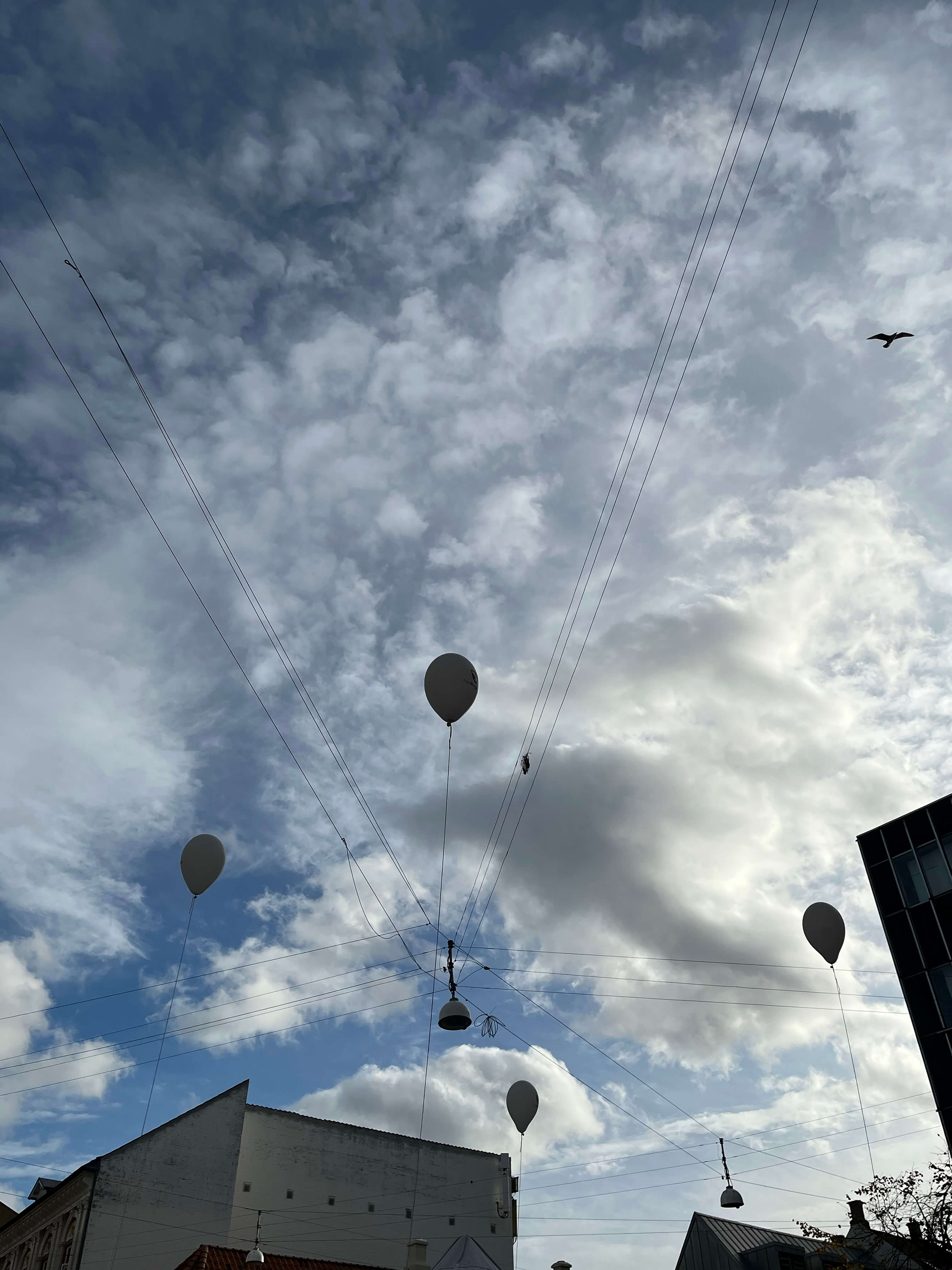 Katharina Ya, Visual Essay 'DER ER IKKE VALG'