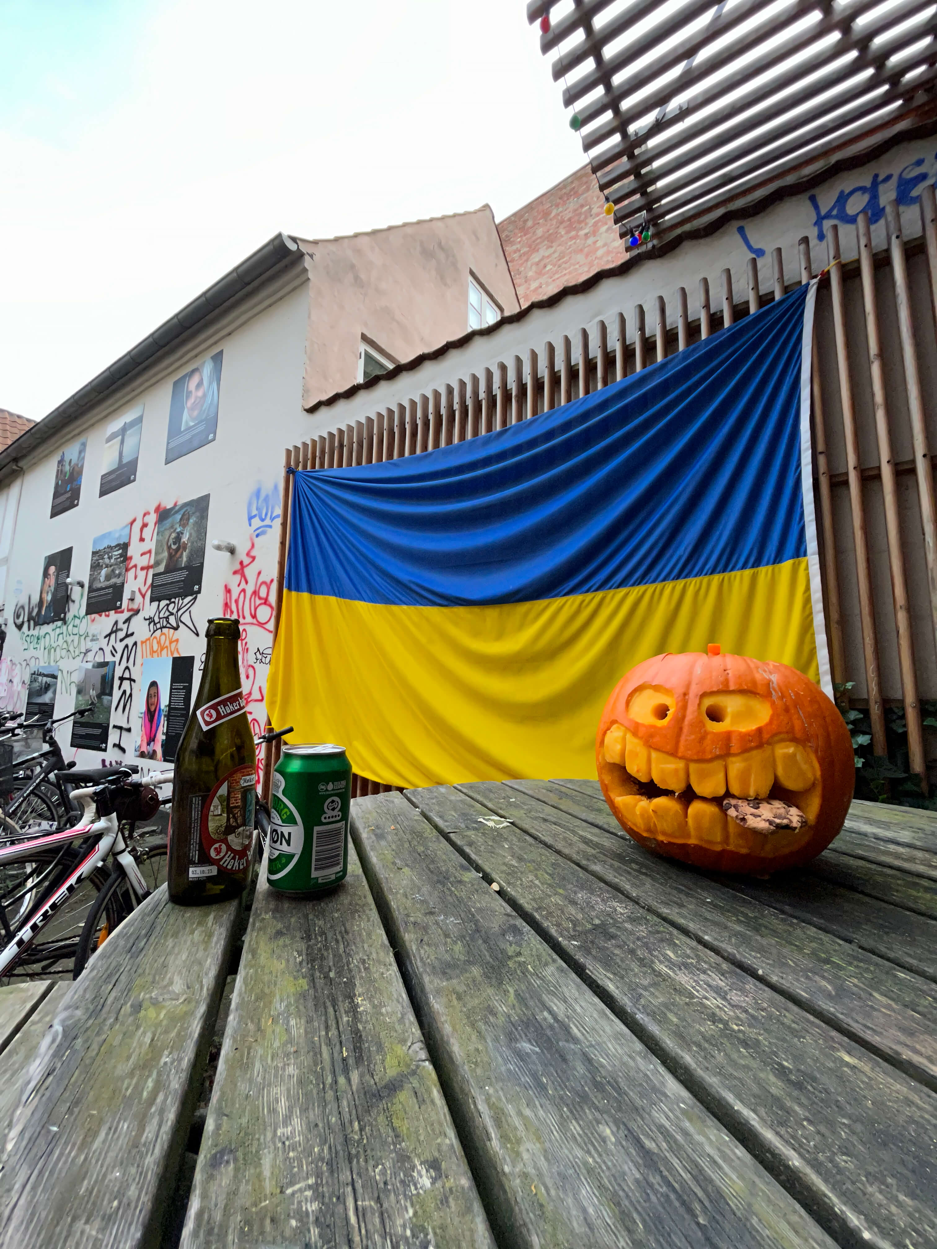 Katharina Ya, Visual Essay 'DER ER IKKE VALG'