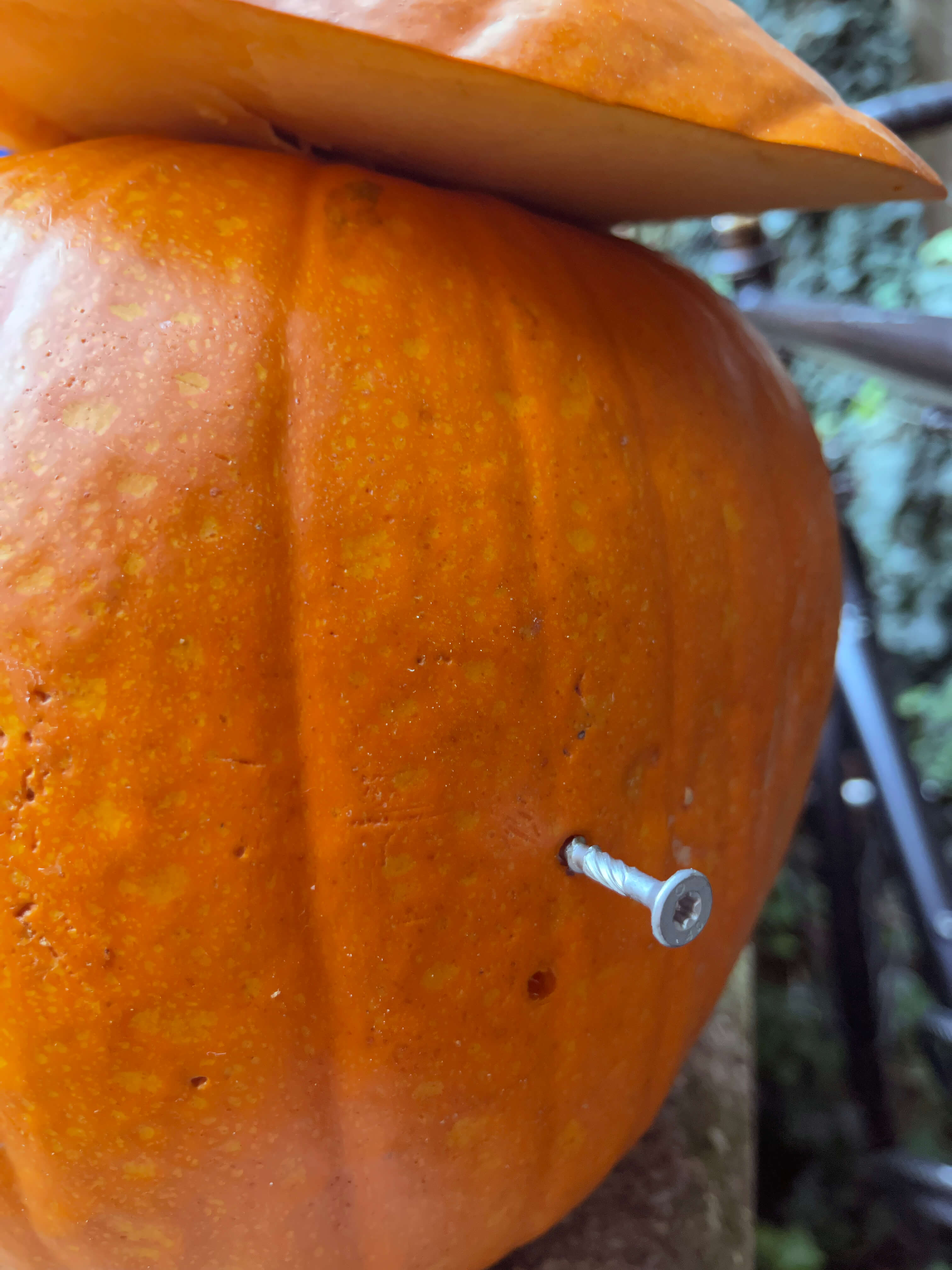 Katharina Ya, Visual Essay 'DER ER IKKE VALG'