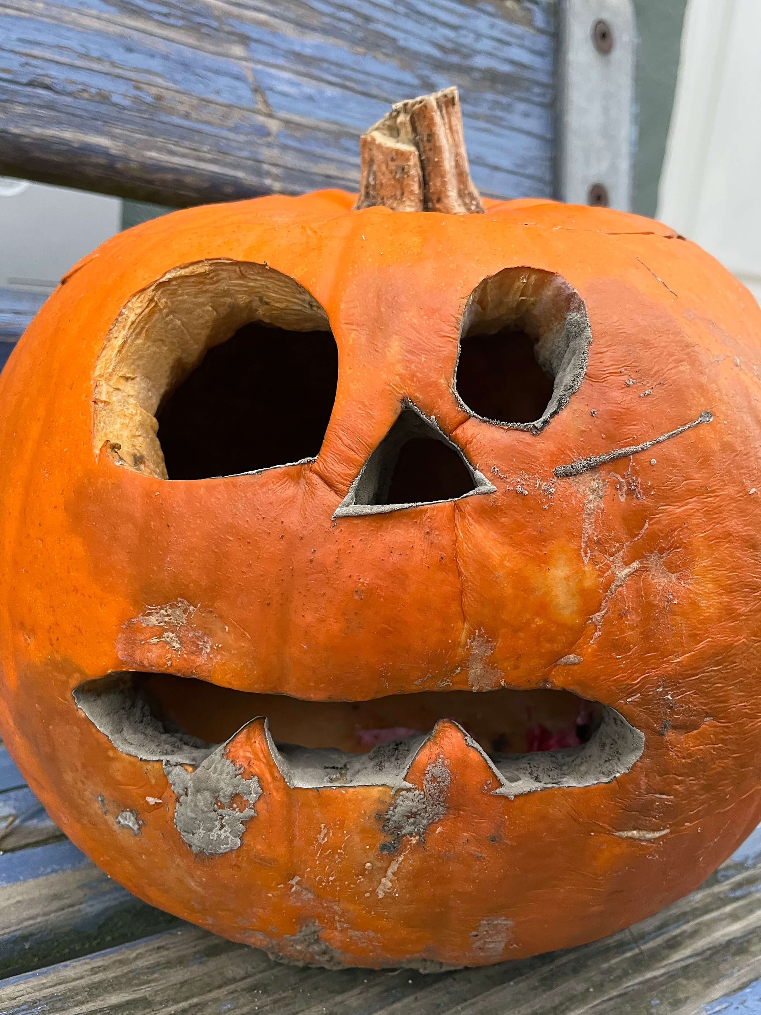 Katharina Ya, Visual Essay 'DER ER IKKE VALG'