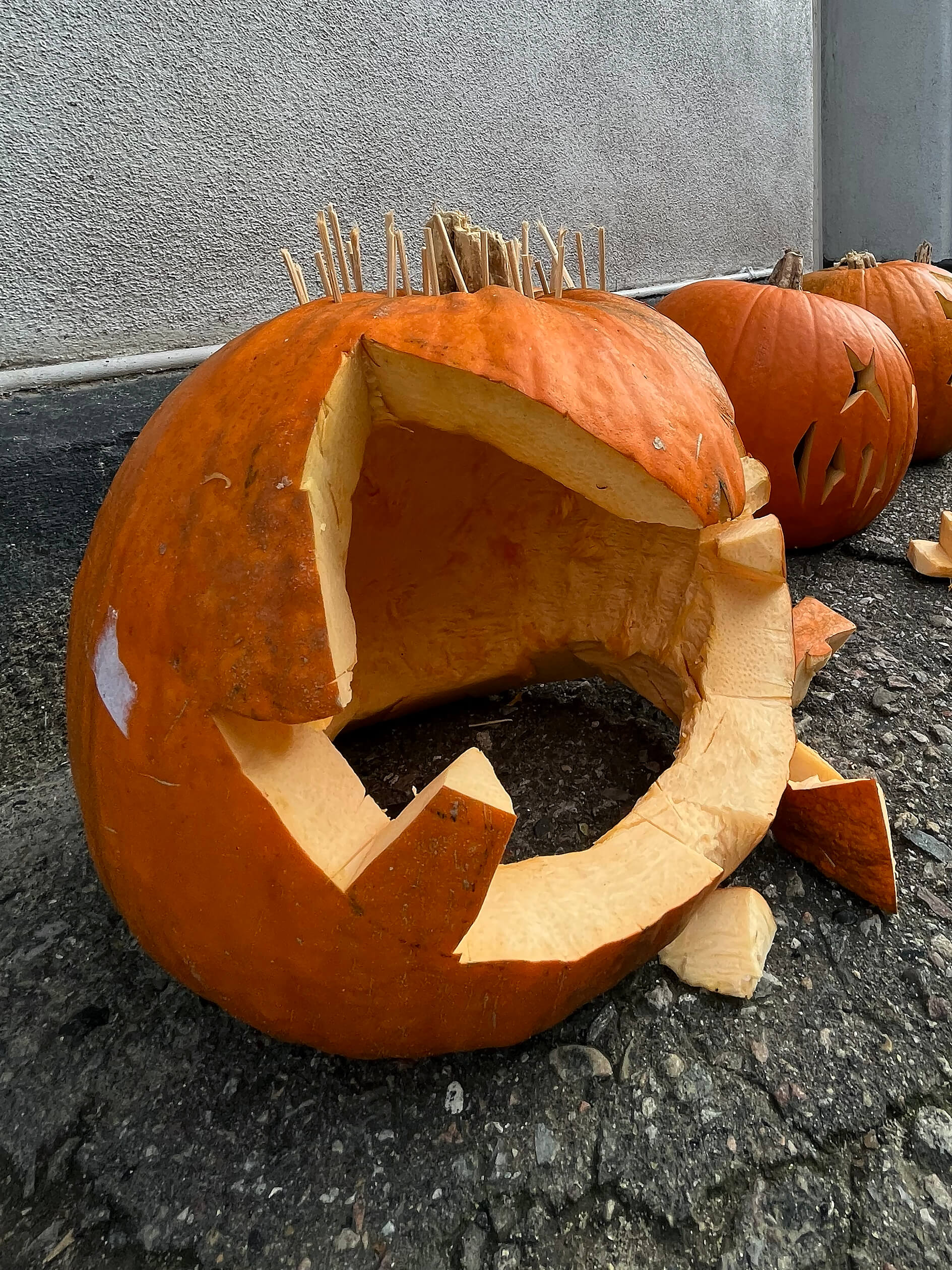 Katharina Ya, Visual Essay 'DER ER IKKE VALG'