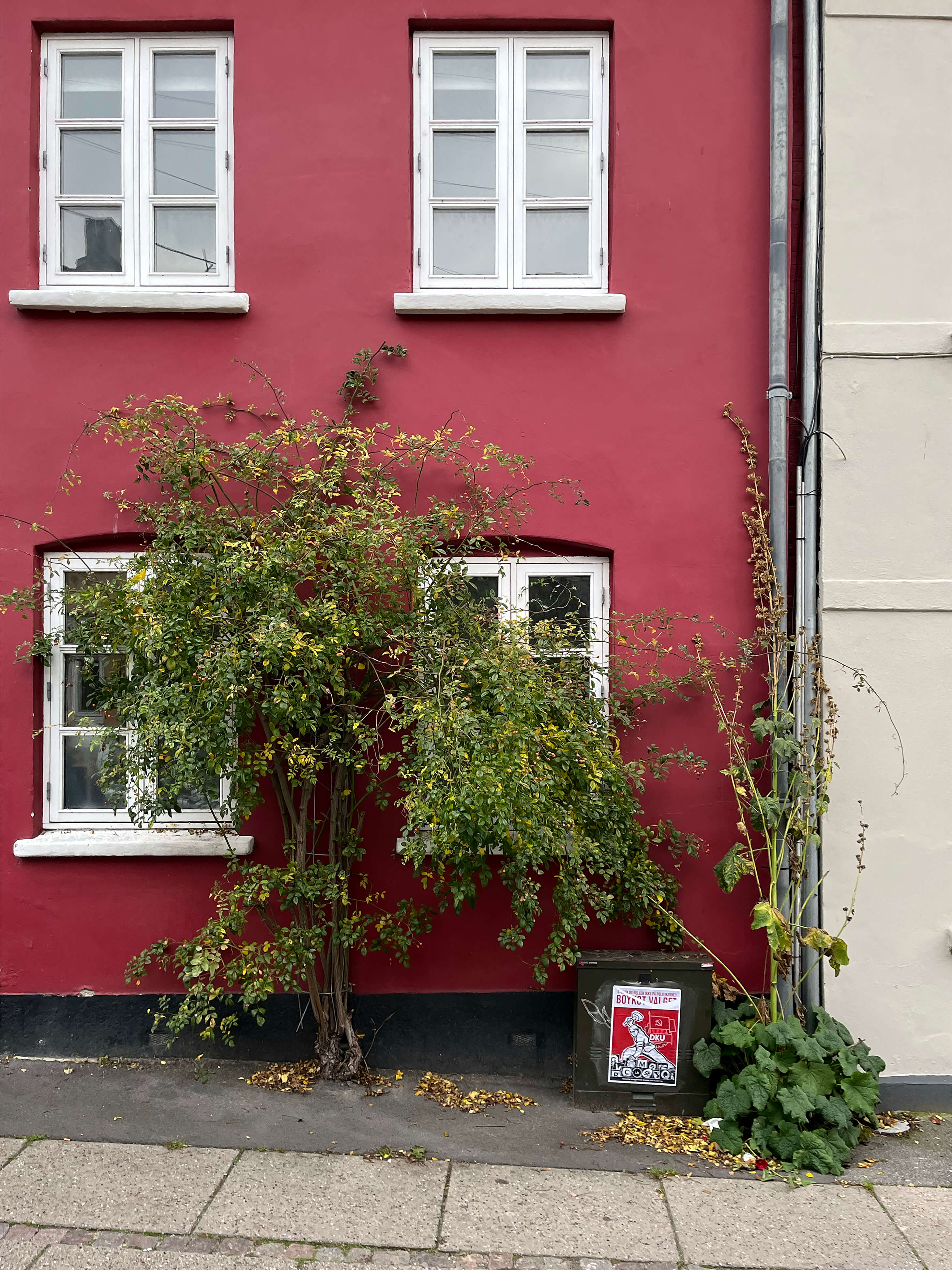 Katharina Ya, Visual Essay 'DER ER IKKE VALG'