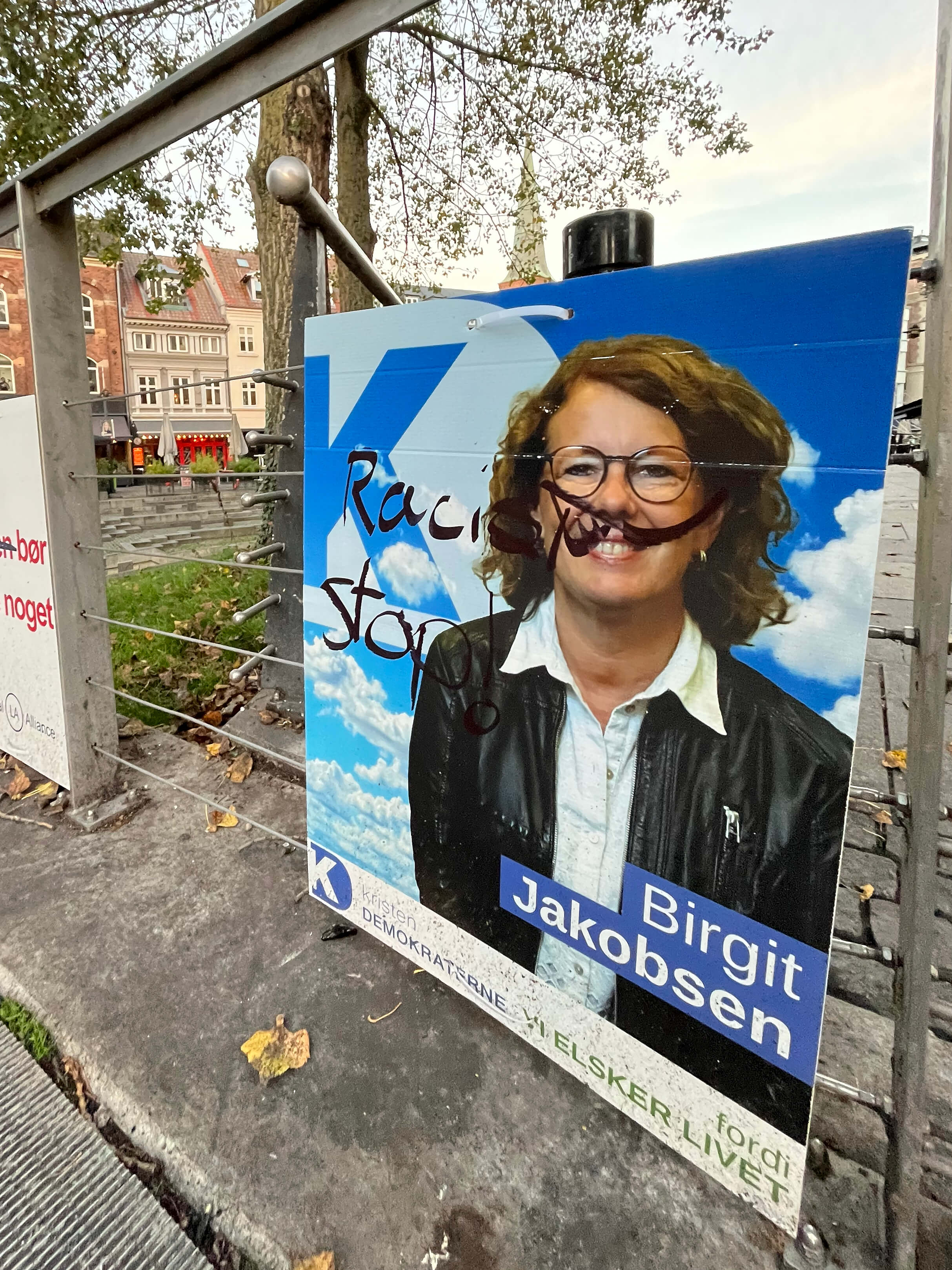 Katharina Ya, Visual Essay 'DER ER IKKE VALG'