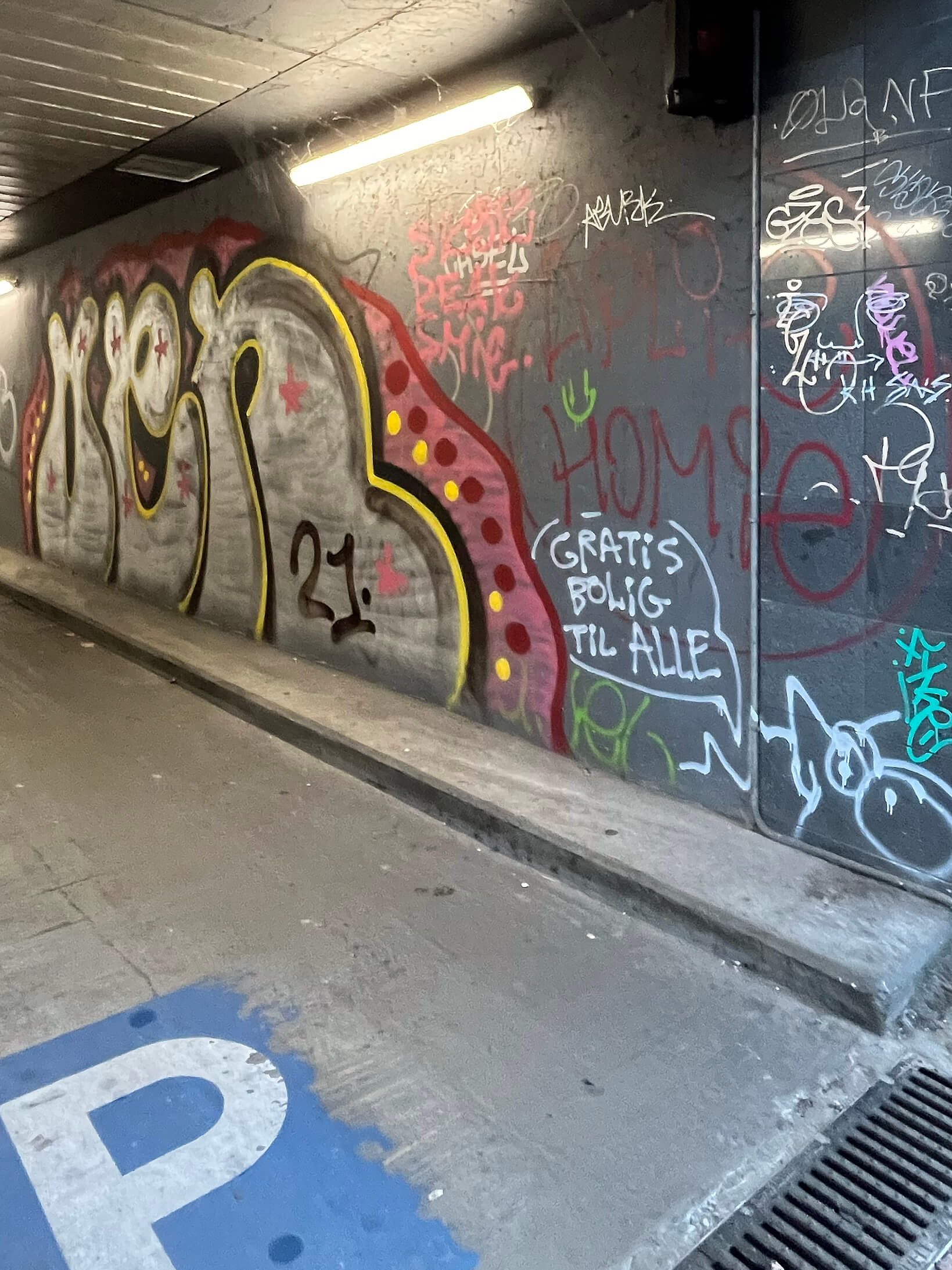 Katharina Ya, Visual Essay 'DER ER IKKE VALG'