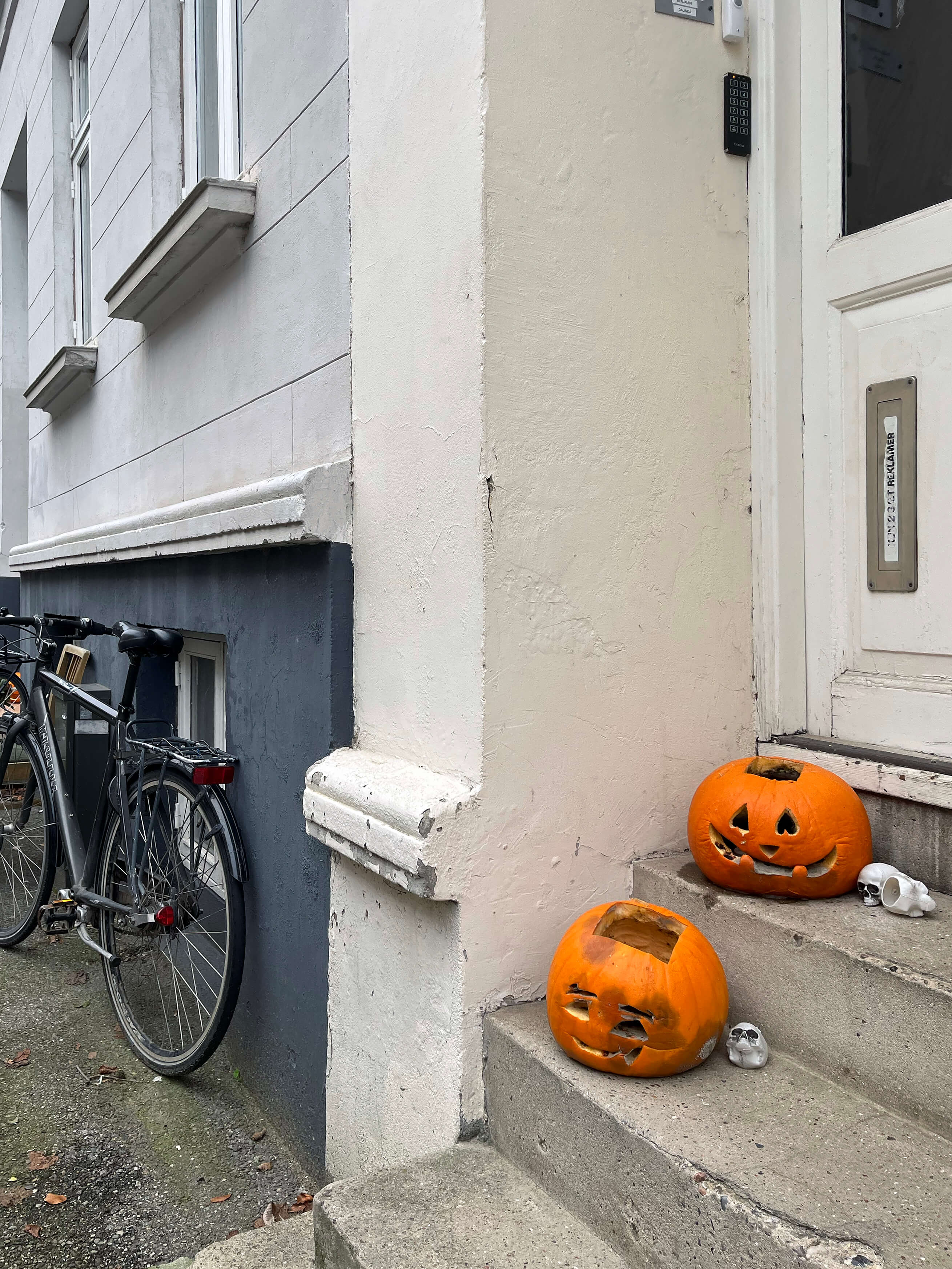 Katharina Ya, Visual Essay 'DER ER IKKE VALG'