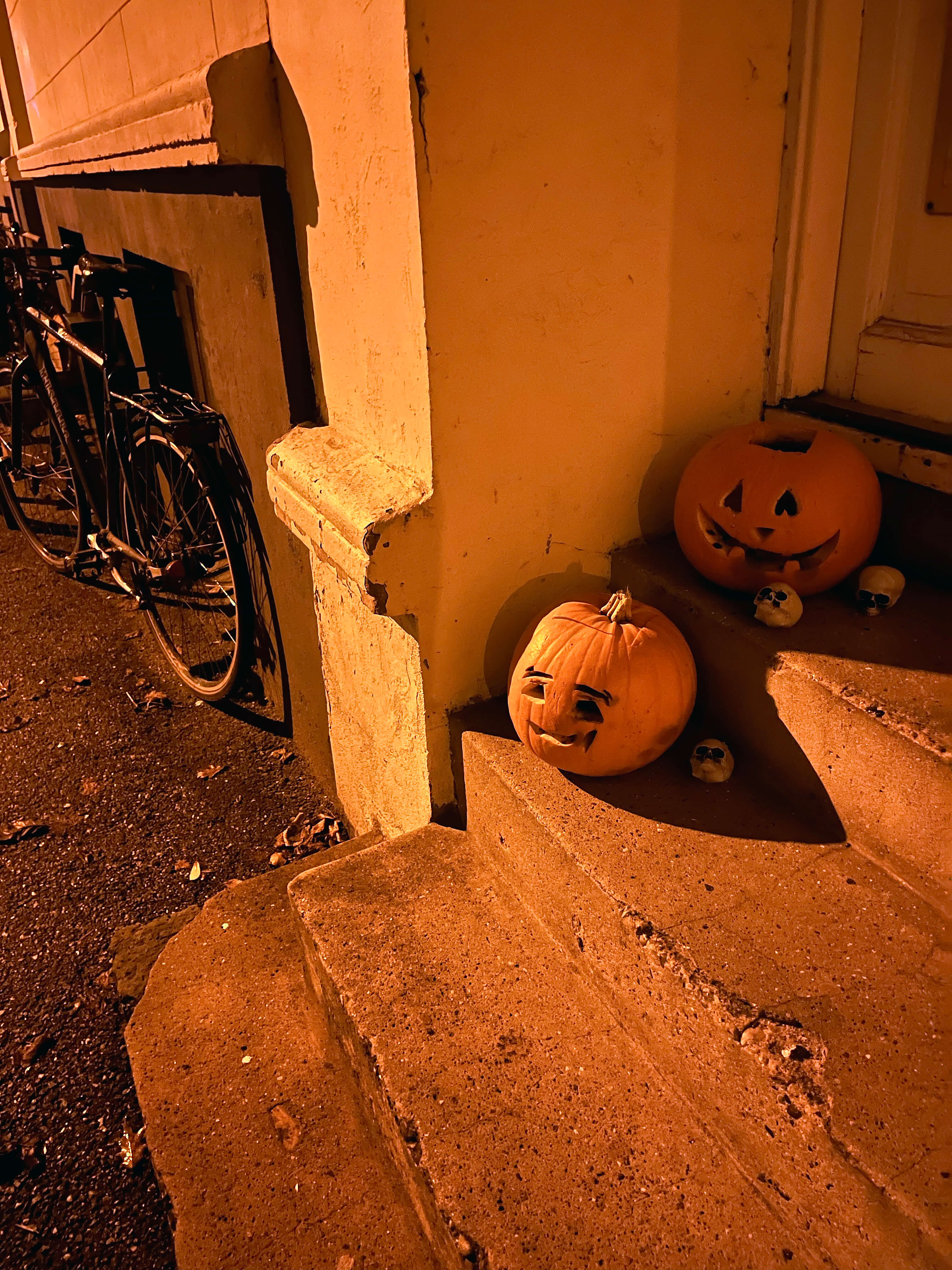 Katharina Ya, Visual Essay 'DER ER IKKE VALG'