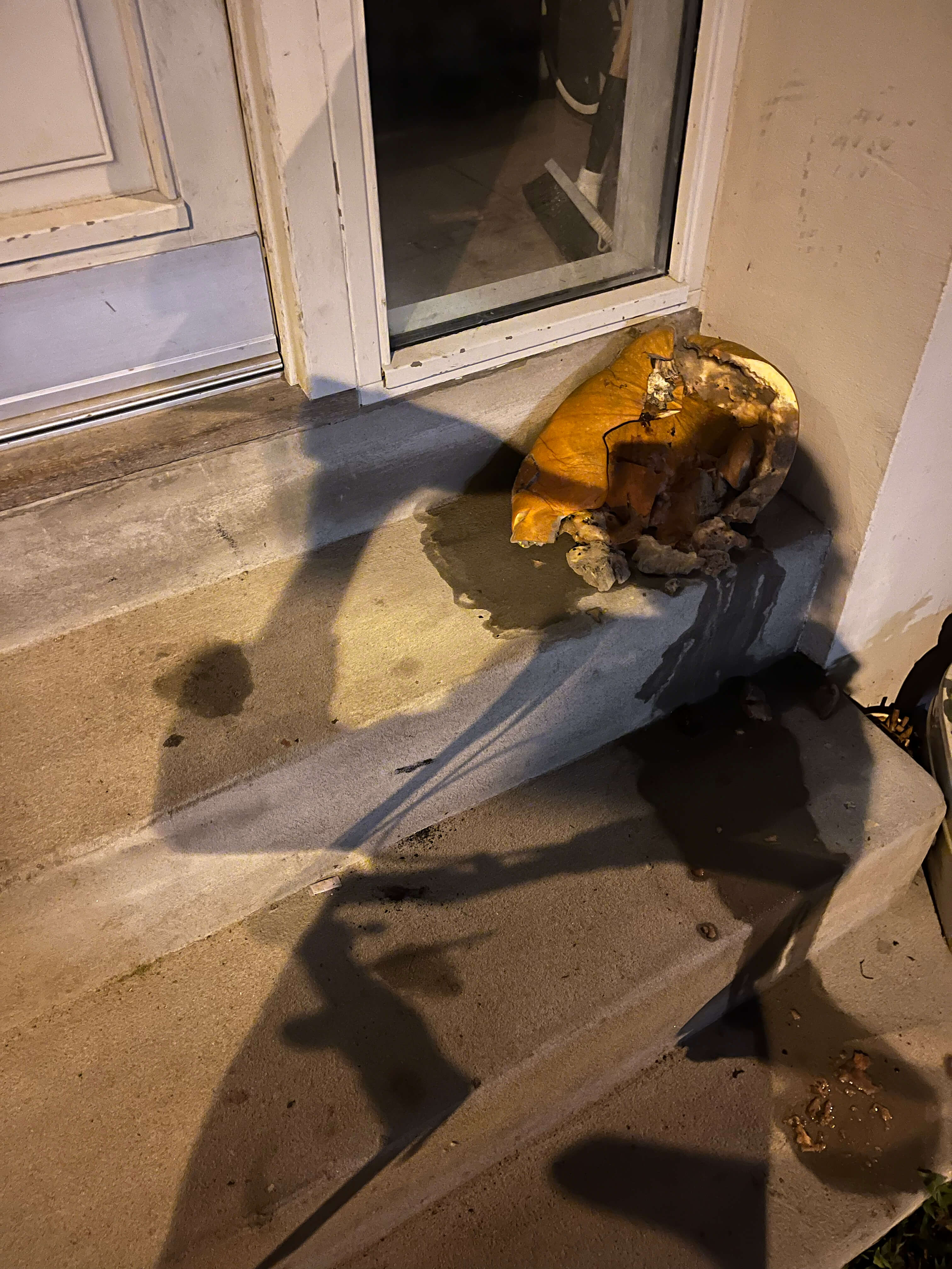 Katharina Ya, Visual Essay 'DER ER IKKE VALG'