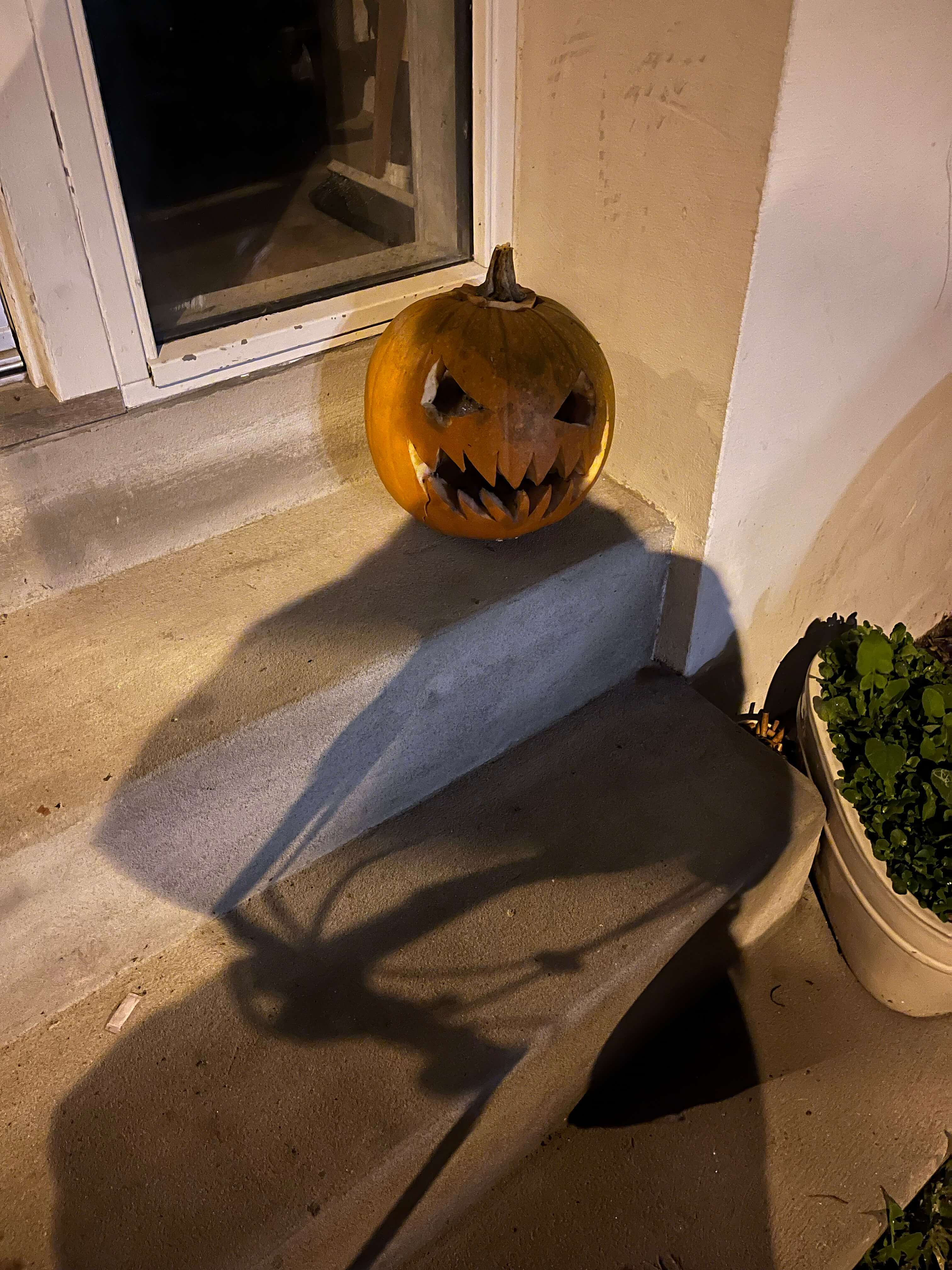 Katharina Ya, Visual Essay 'DER ER IKKE VALG'