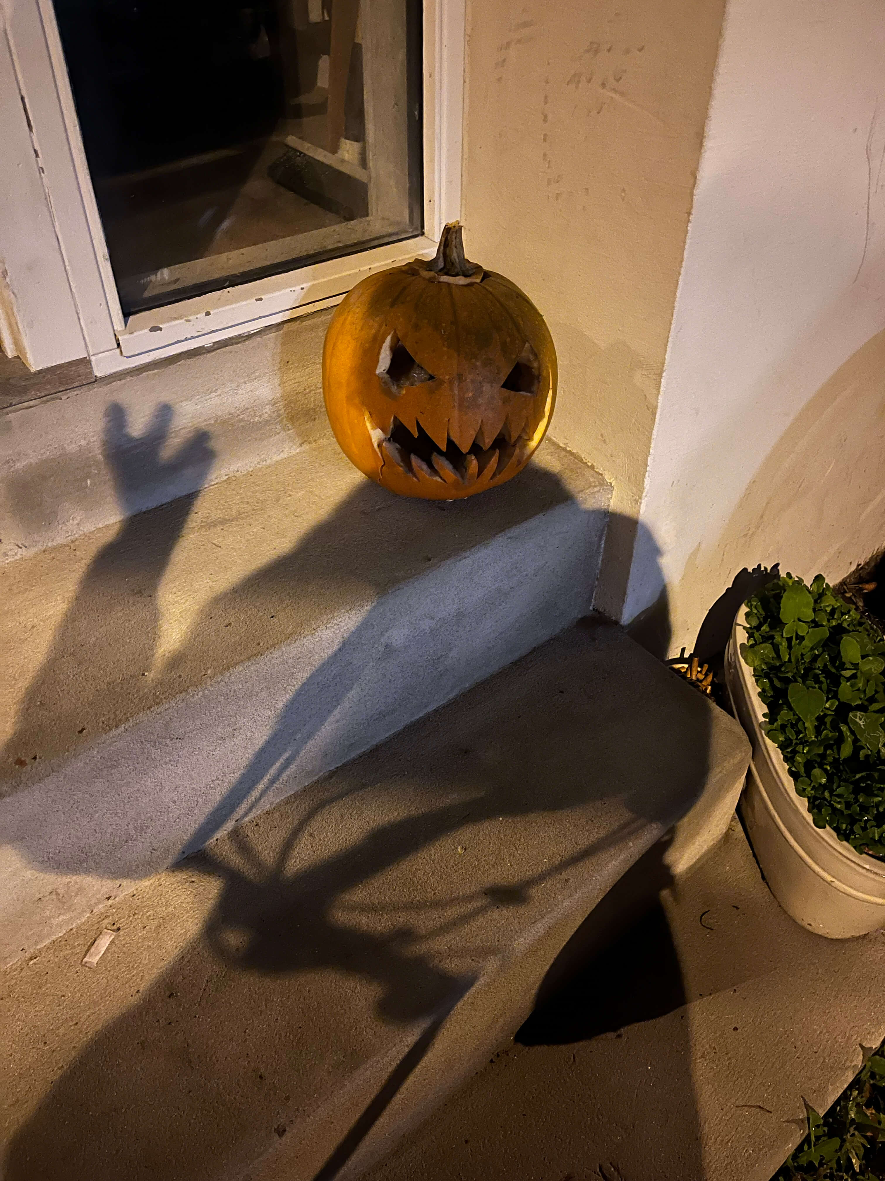 Katharina Ya, Visual Essay 'DER ER IKKE VALG'