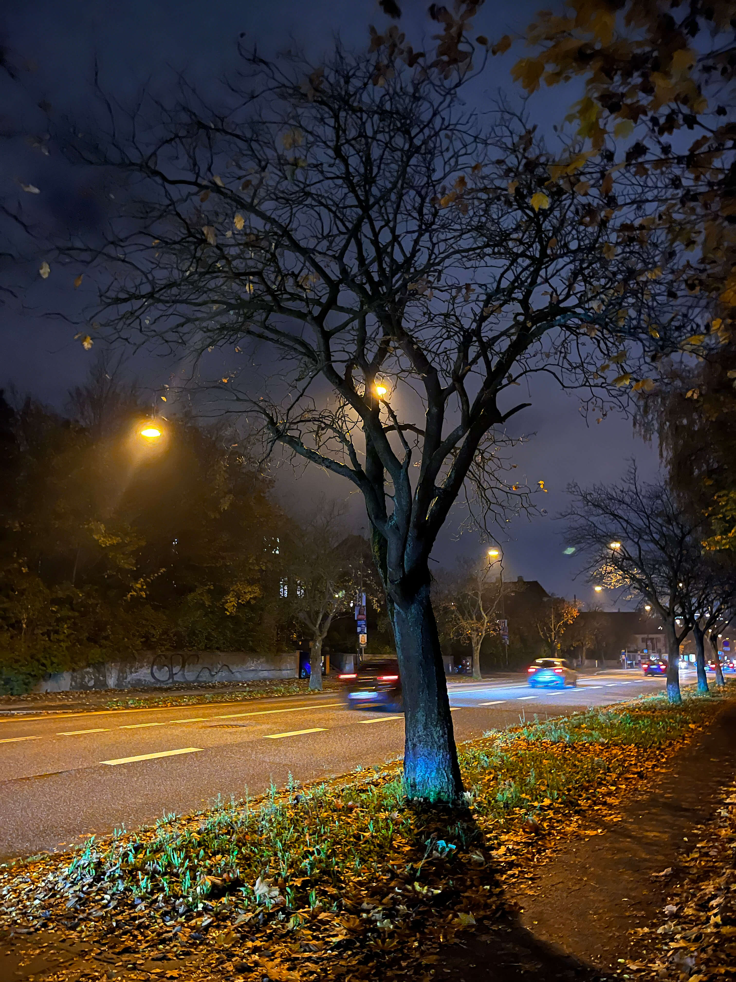 Katharina Ya, Visual Essay 'DER ER IKKE VALG'