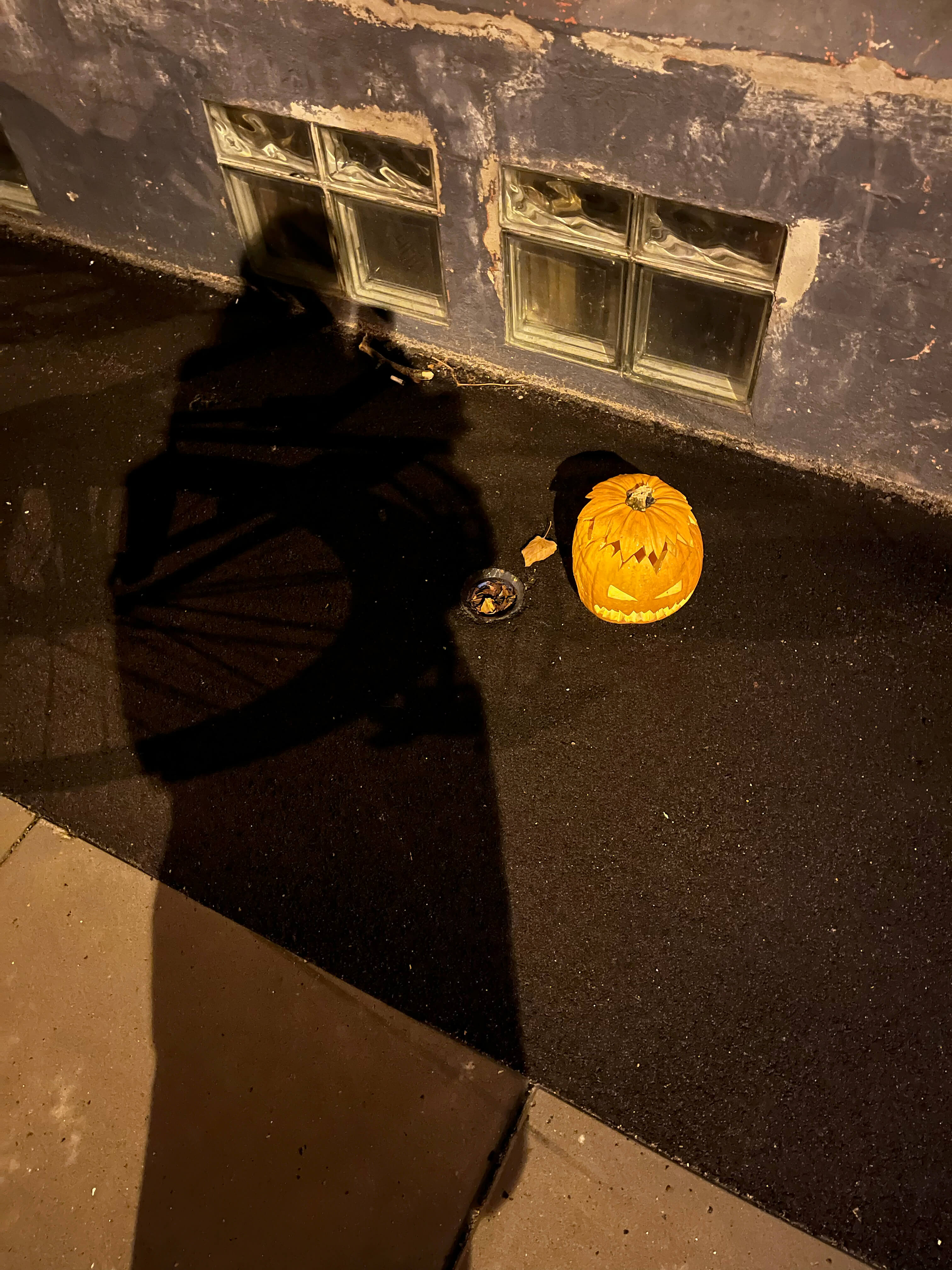 Katharina Ya, Visual Essay 'DER ER IKKE VALG'