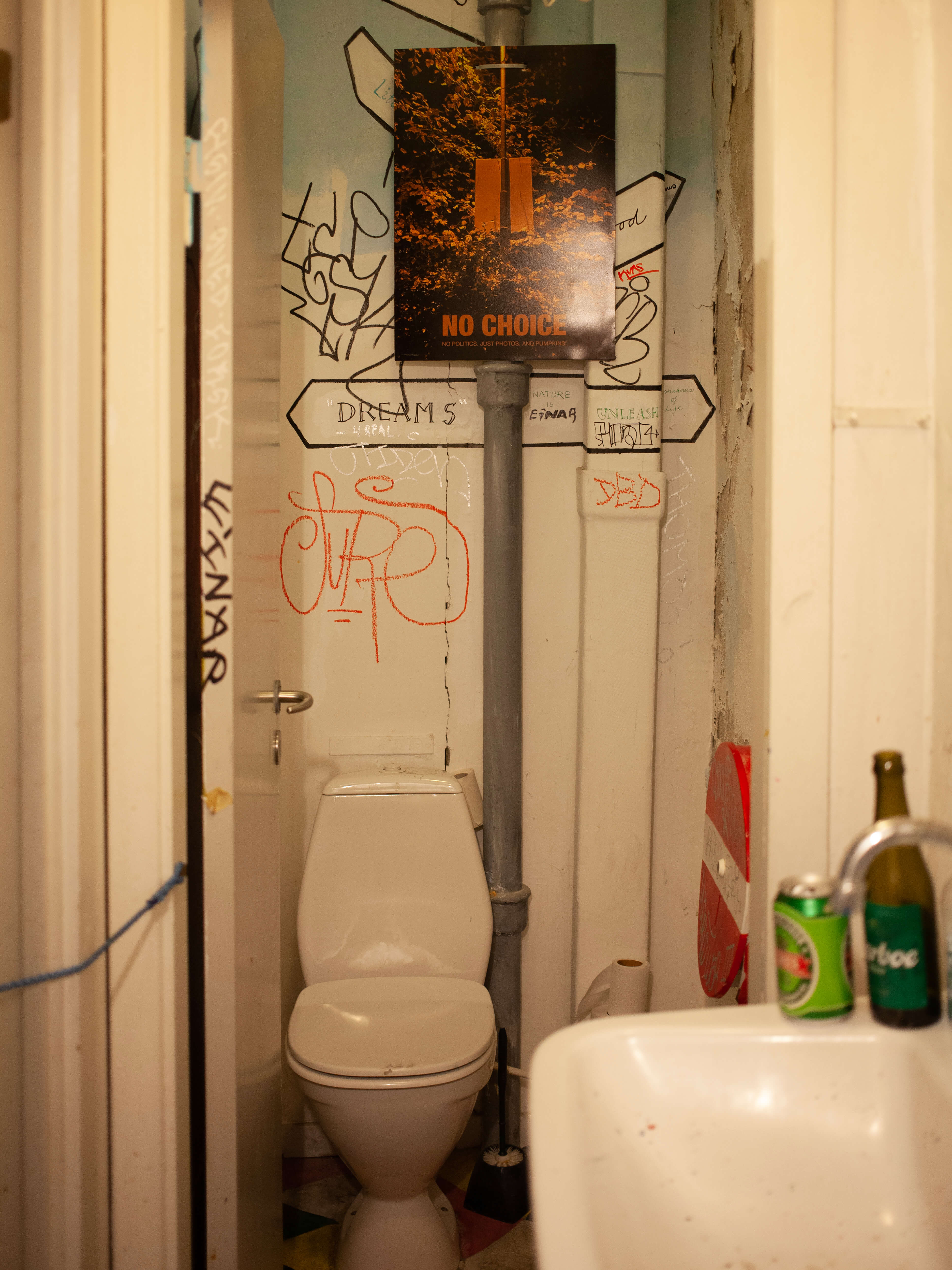 Katharina Ya, Visual Essay 'DER ER IKKE VALG'