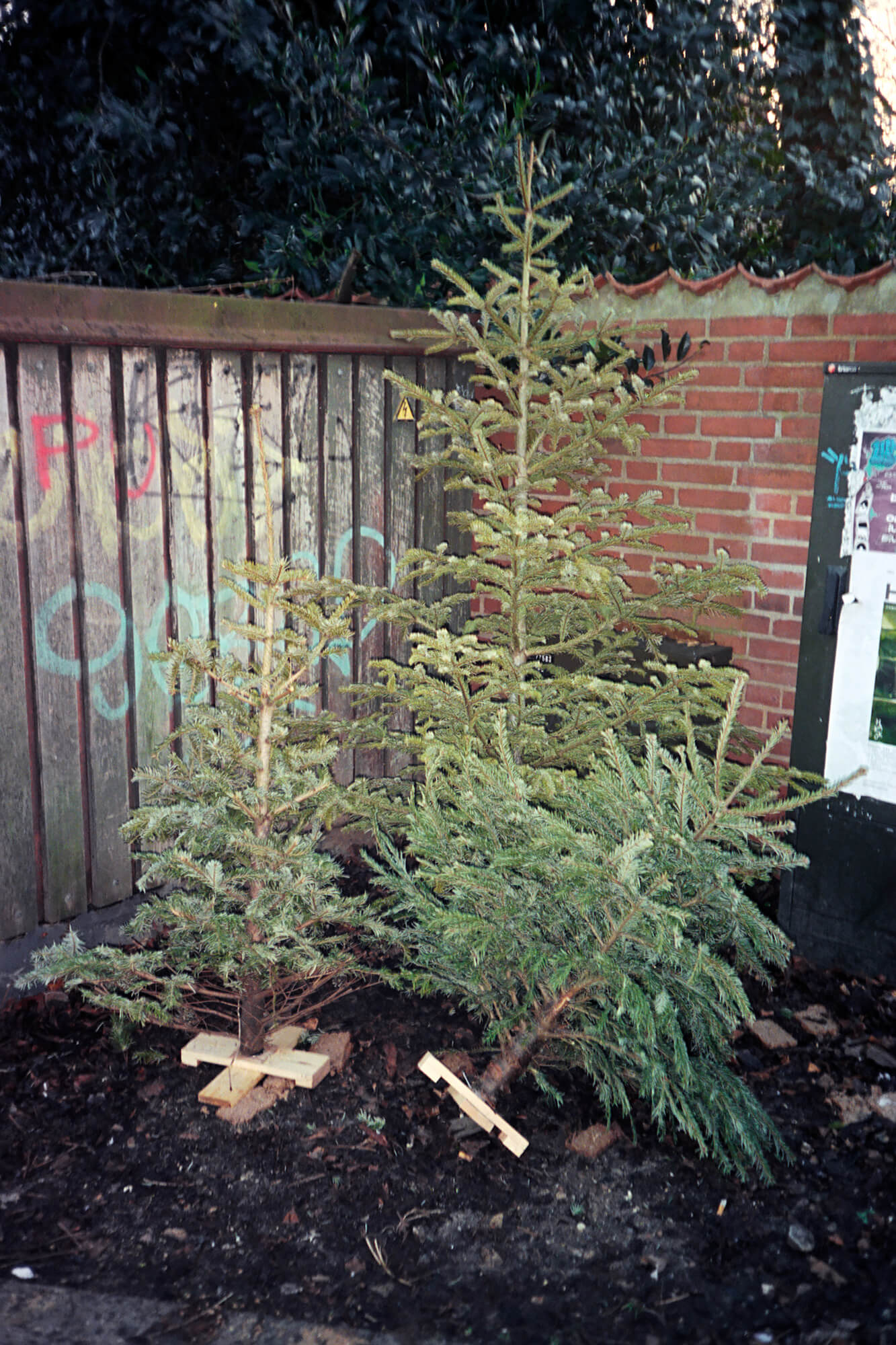 Katharina Ya, Visual Essay 'Den 1. januar'