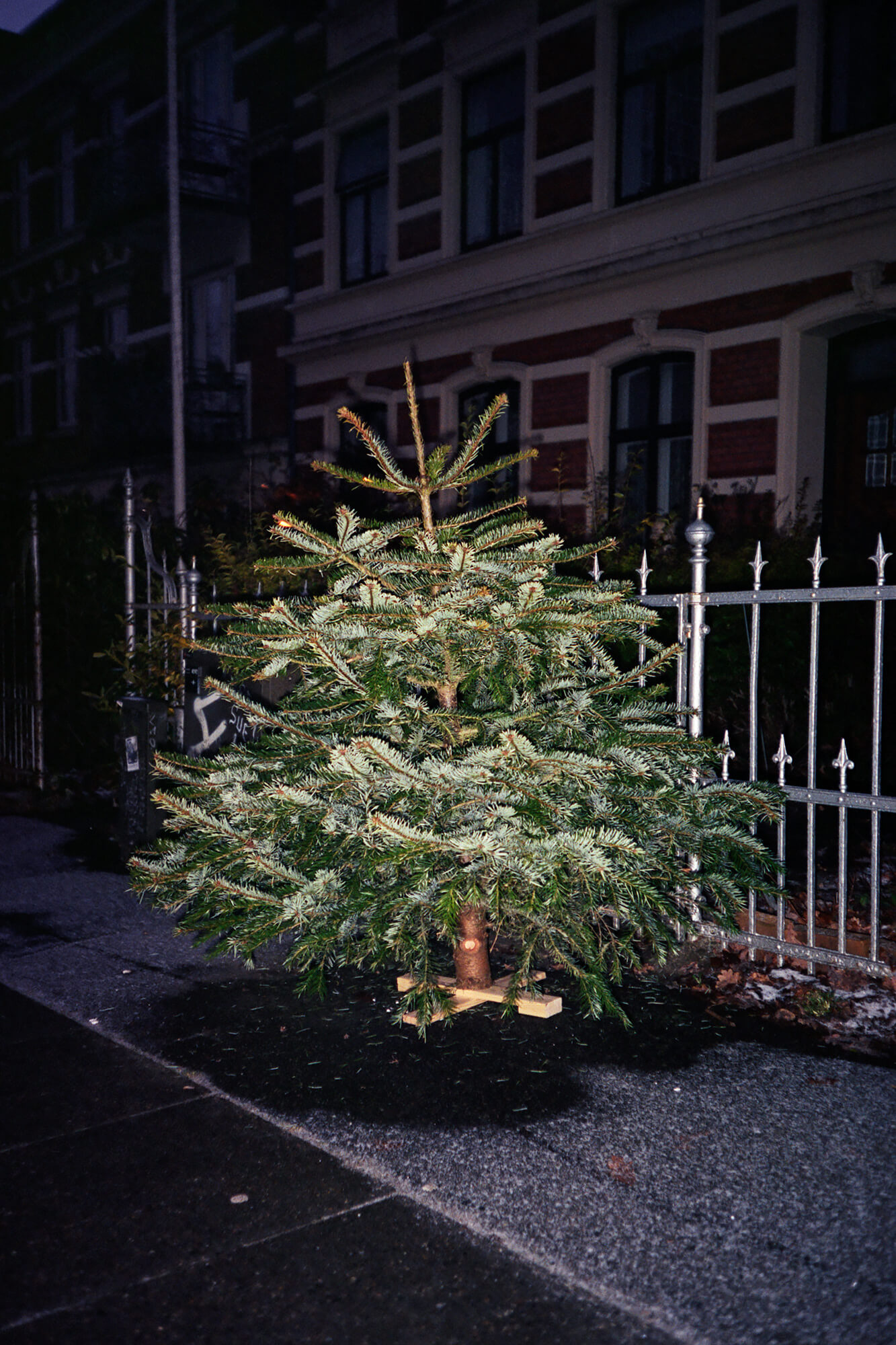 Katharina Ya, Visual Essay 'Den 1. januar'