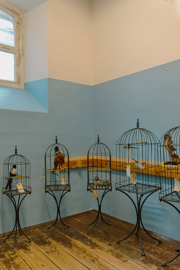 Katharina Ya, FÆNGSLET, 2025