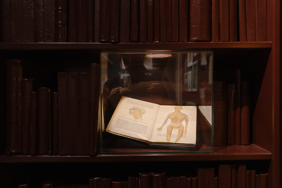 Katharina Ya, Museum Ovartaci, 2025