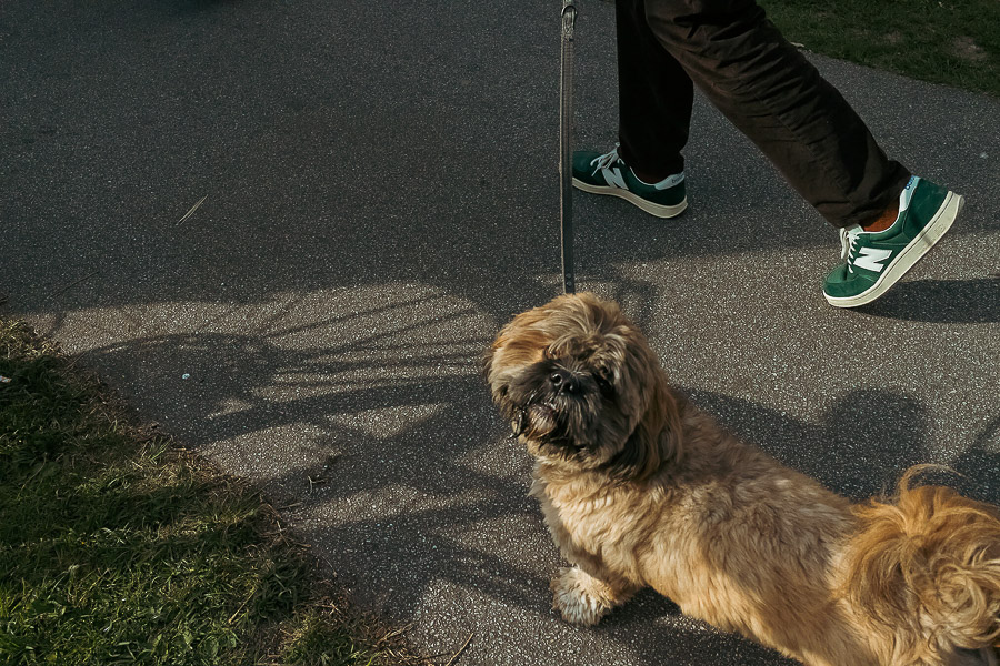 Katharina Ya, Roots&Hybrid 2025