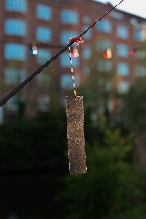 Katharina Ya, Roots&Hybrid 2025