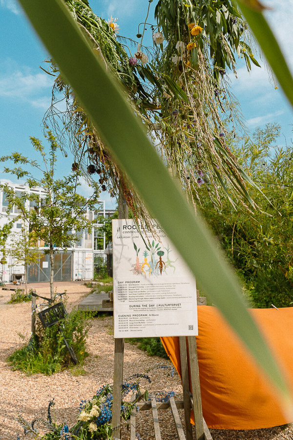 Katharina Ya, ROOTED festival