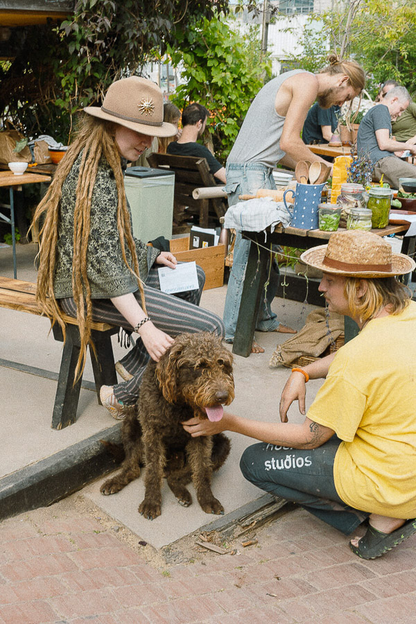 Katharina Ya, ROOTED festival