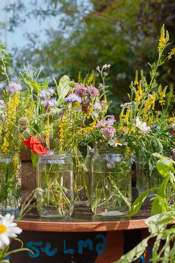 Katharina Ya, ROOTED festival