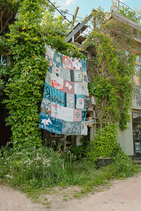 Katharina Ya, ROOTED festival