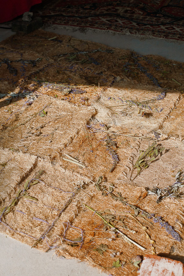 Katharina Ya, ROOTED festival