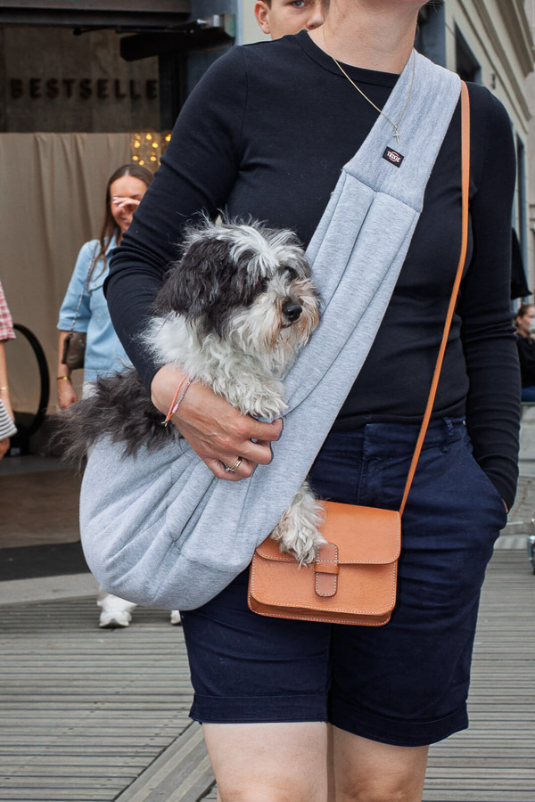 Katharina Ya, Aarhus Jazz Festival 2025