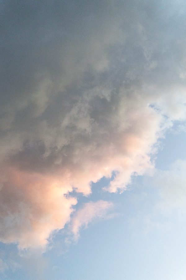 Katharina Ya, den turkise have 2025