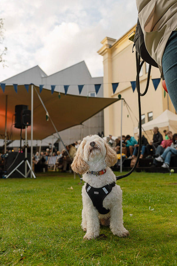 Katharina Ya, den turkise have 2025