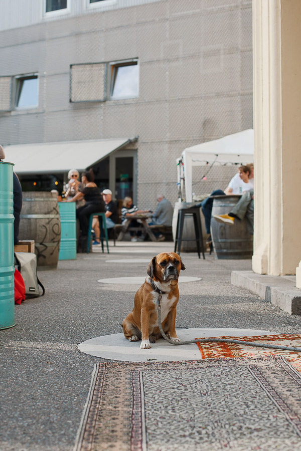 Katharina Ya, den turkise have 2025