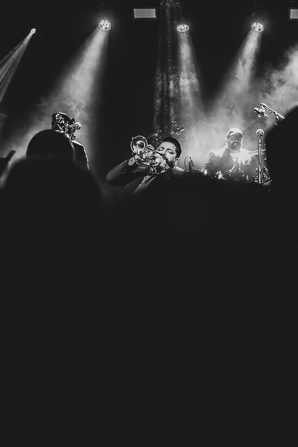 Katharina Ya, turkis