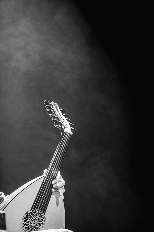 Katharina Ya, turkis