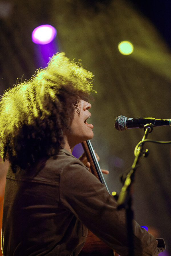 Katharina Ya, turkis