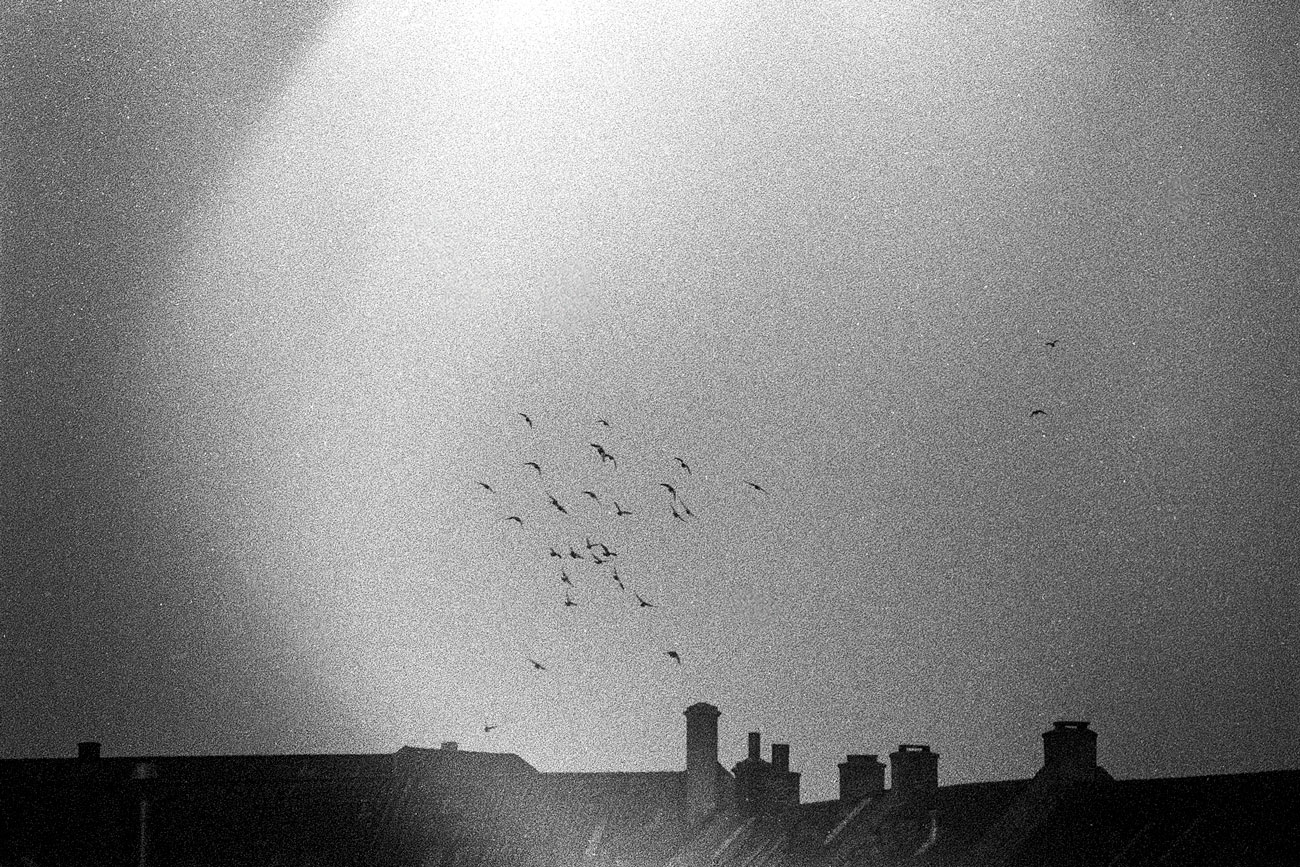 Katharina Ya, Aarhus Films