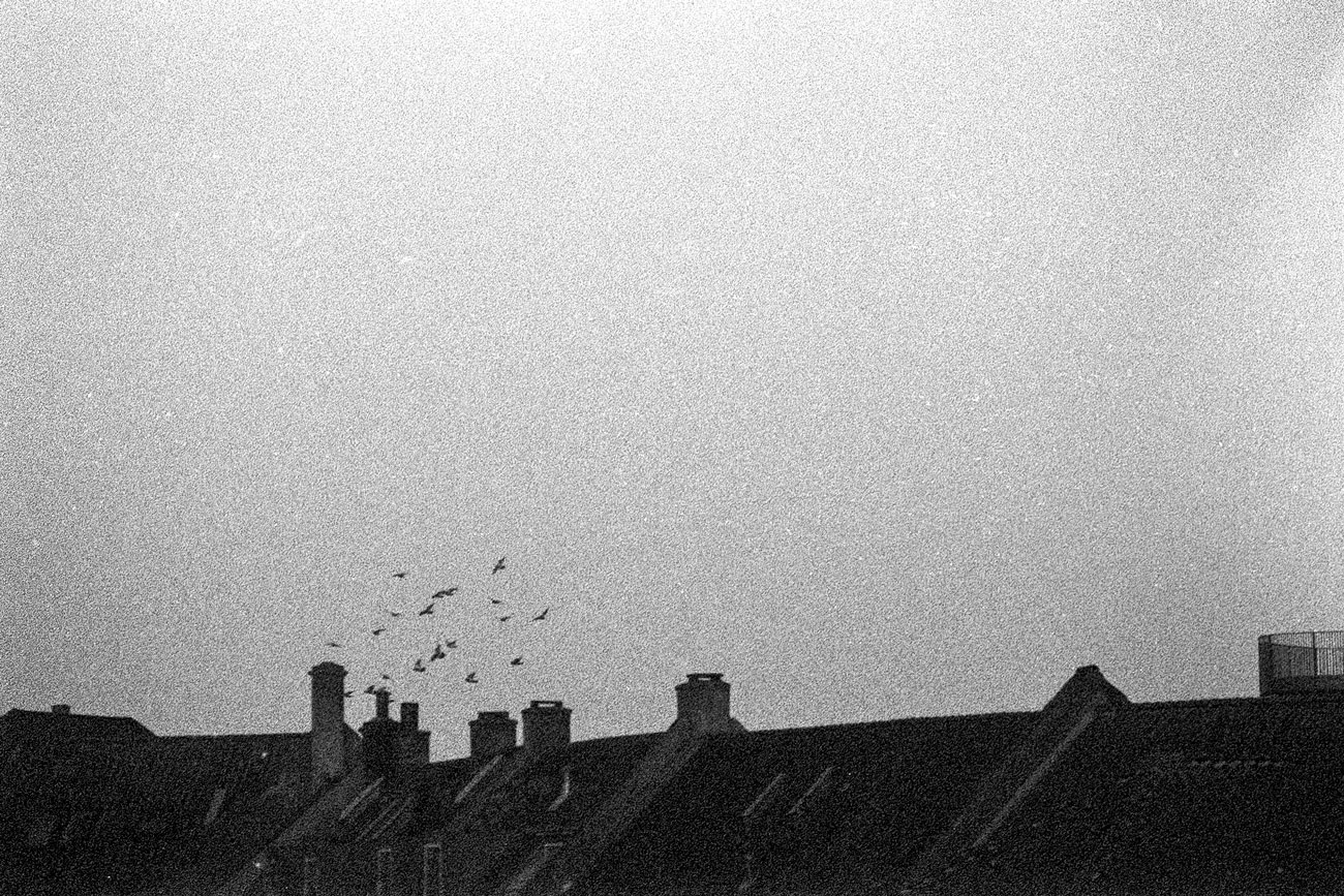 Katharina Ya, Aarhus Films