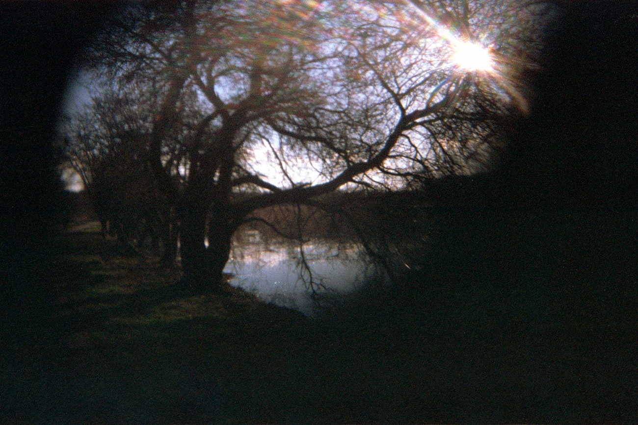 Katharina Ya, Aarhus Films