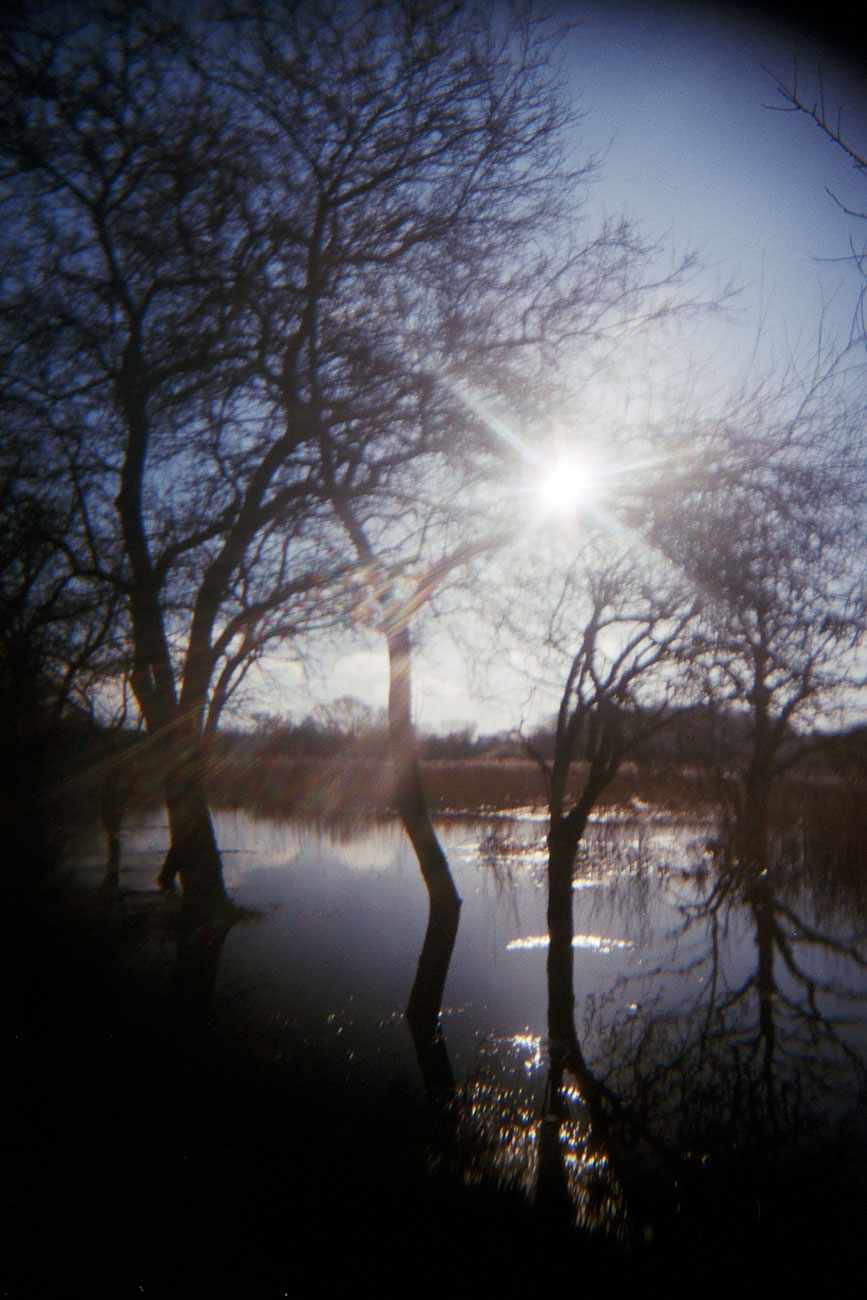 Katharina Ya, Aarhus Films