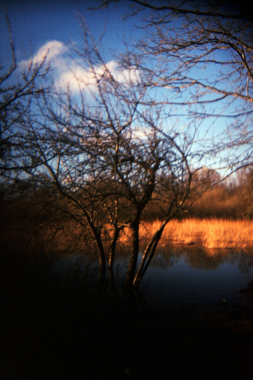 Katharina Ya, Aarhus Films