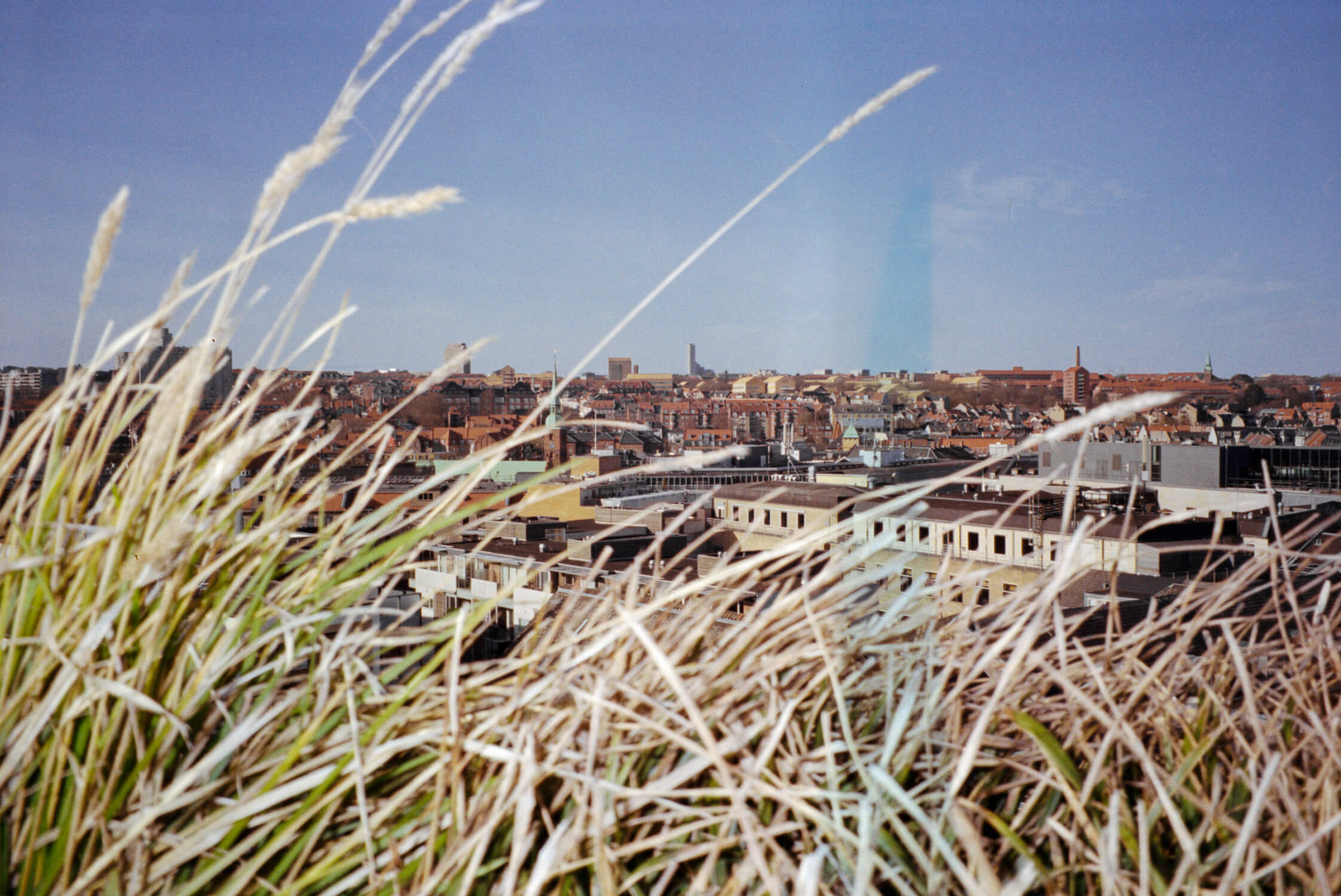 Katharina Ya, Aarhus Films