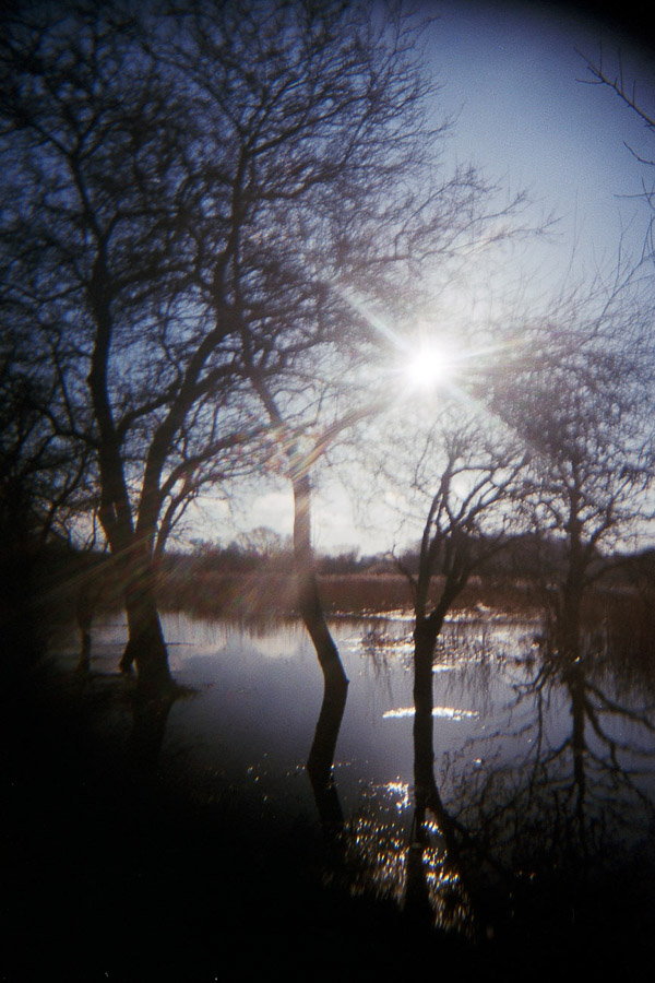 Katharina Ya, Aarhus Films