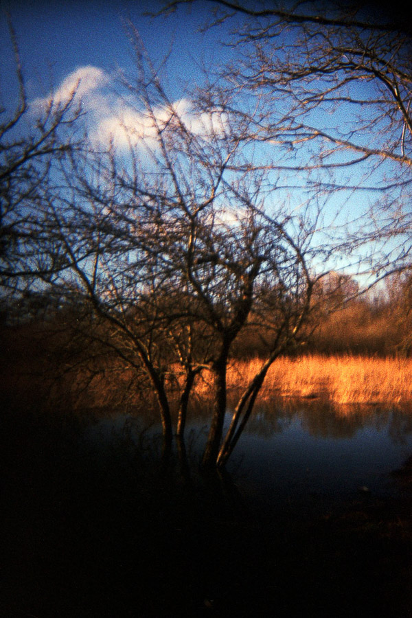 Katharina Ya, Aarhus Films