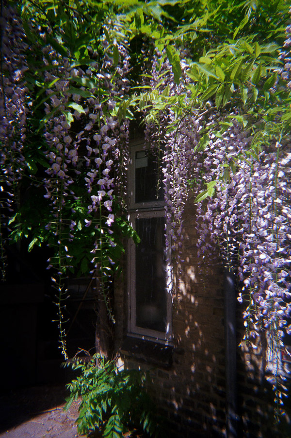 Katharina Ya, Aarhus Films