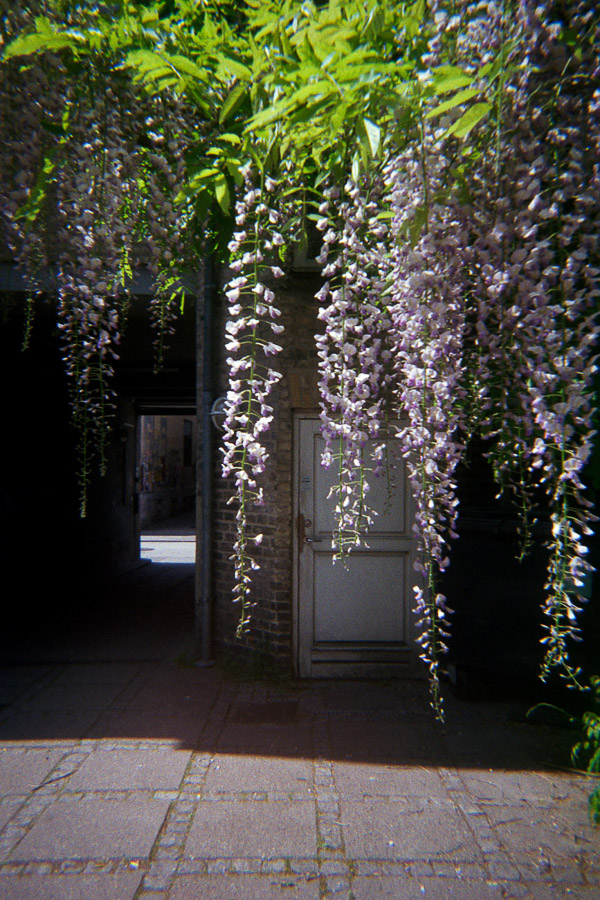 Katharina Ya, Aarhus Films