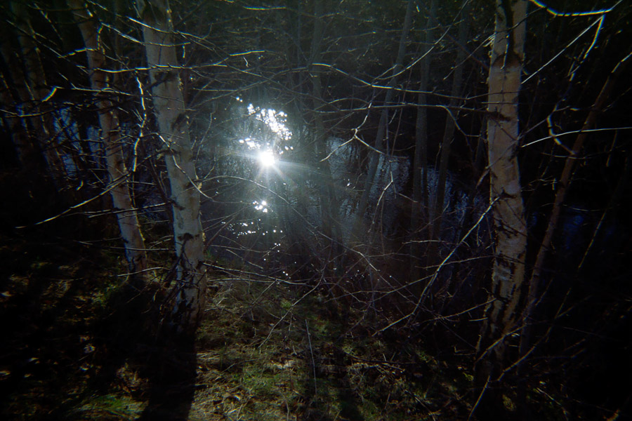 Katharina Ya, Aarhus Films