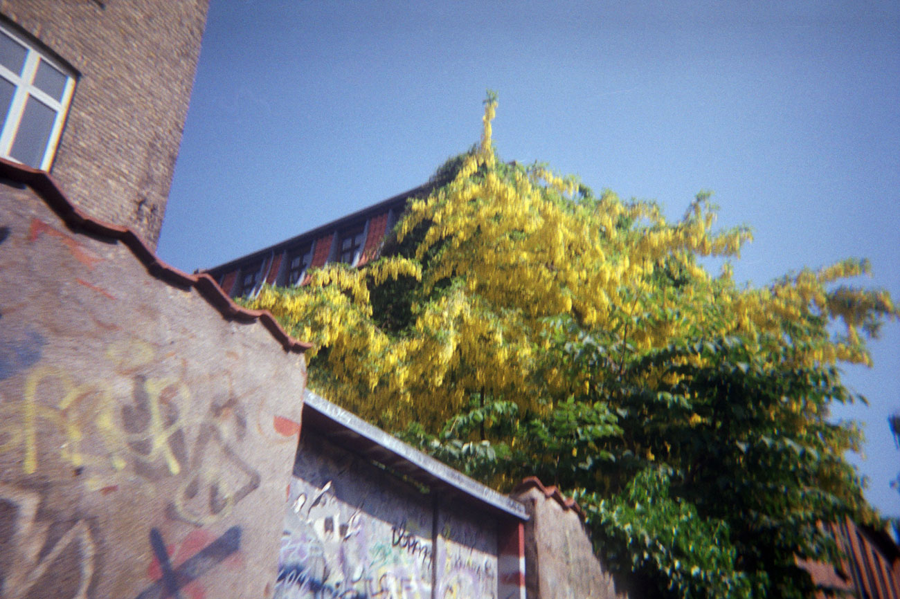 Katharina Ya, Analog Notes