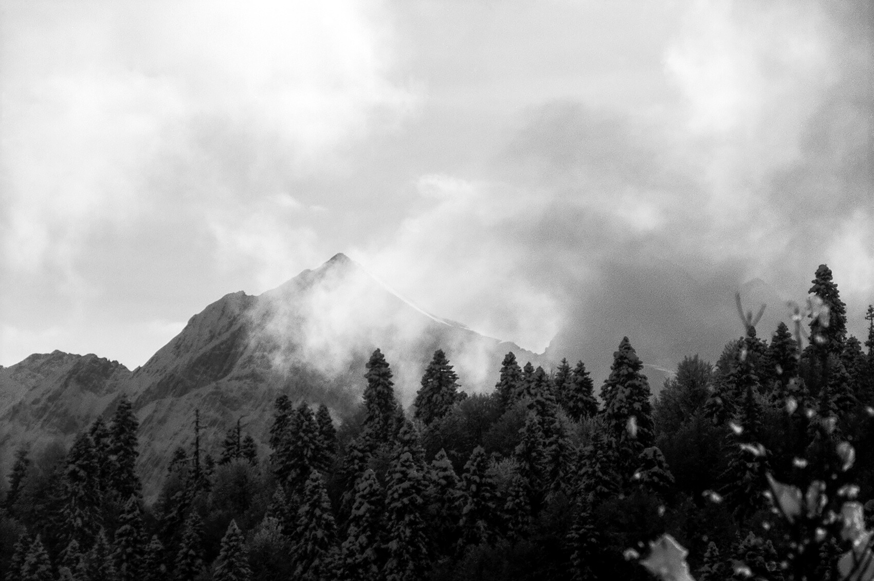 Katharina Ya, Black White and Snow