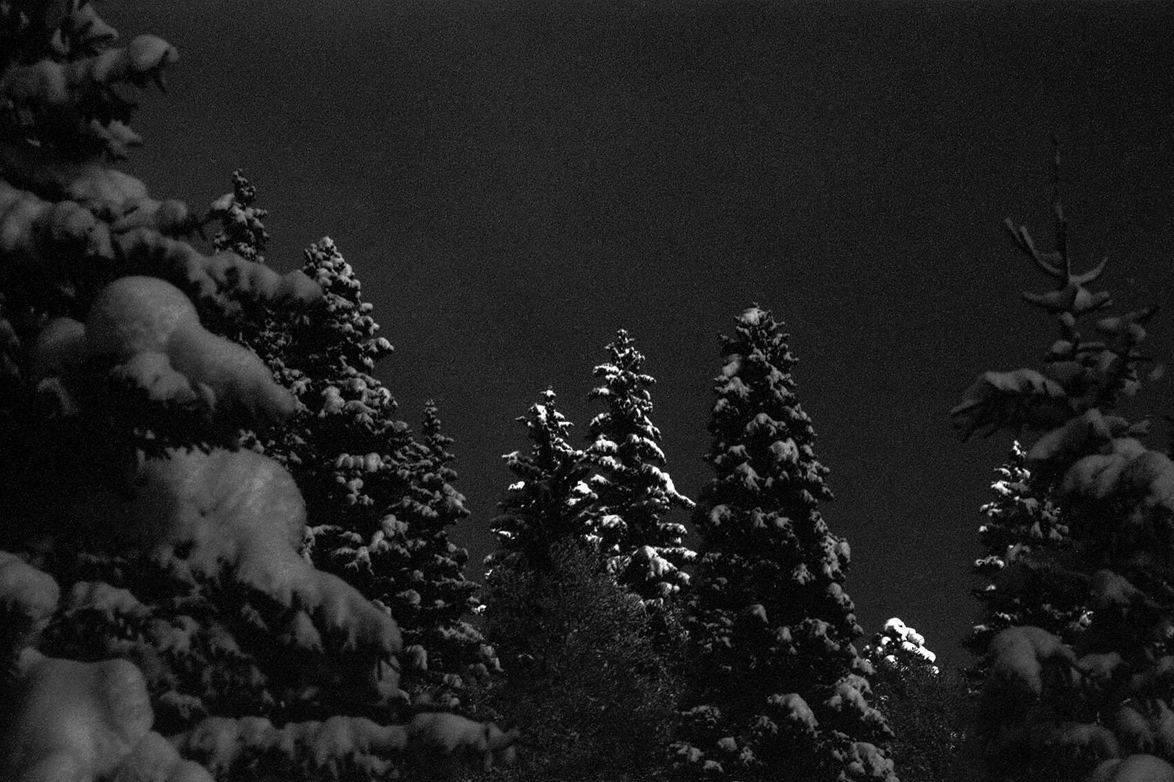 Katharina Ya, Black White and Snow