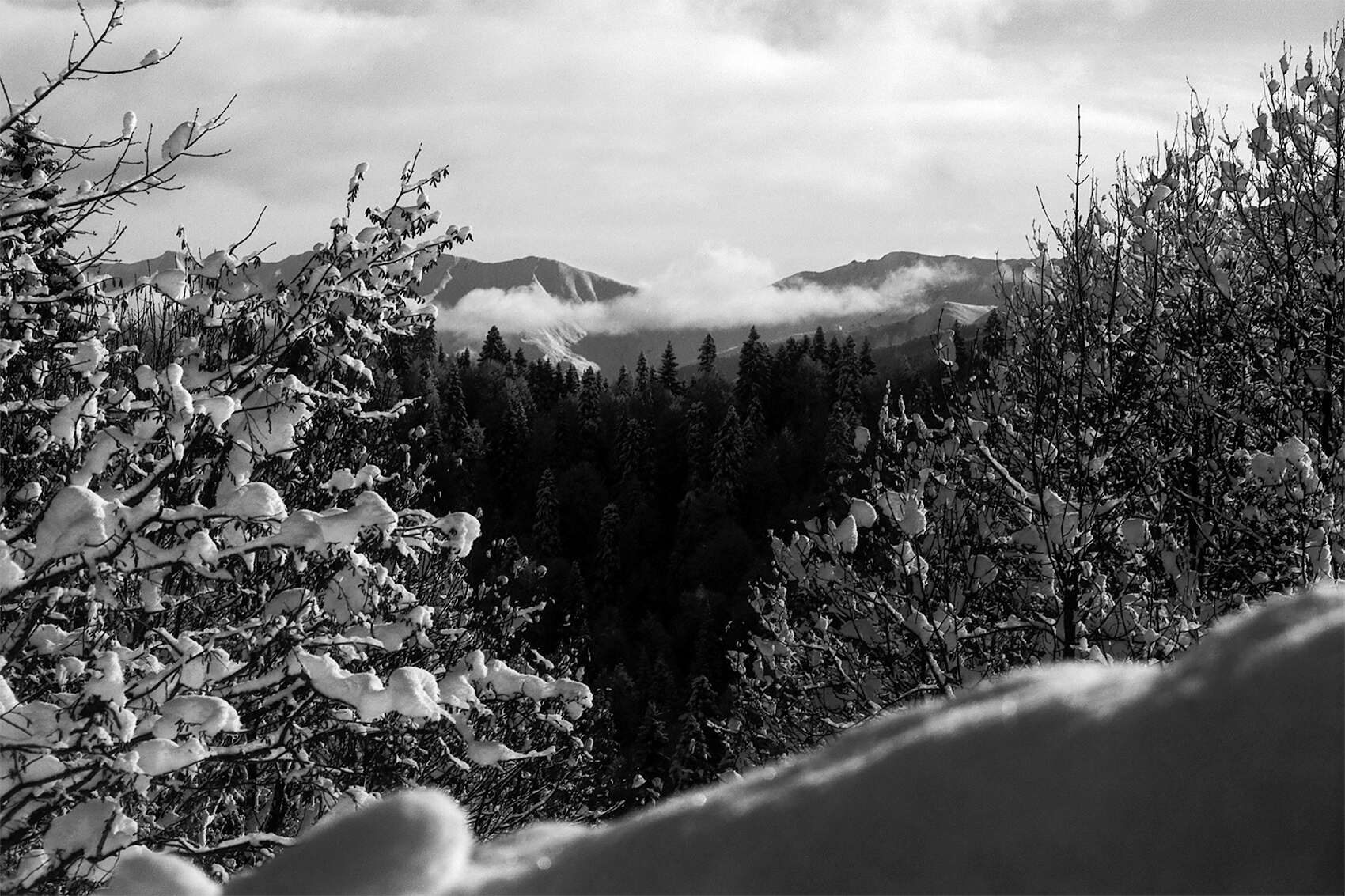Katharina Ya, Black White and Snow